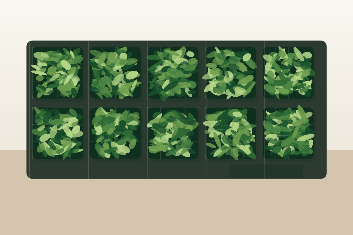 Artificial hedges catalog category