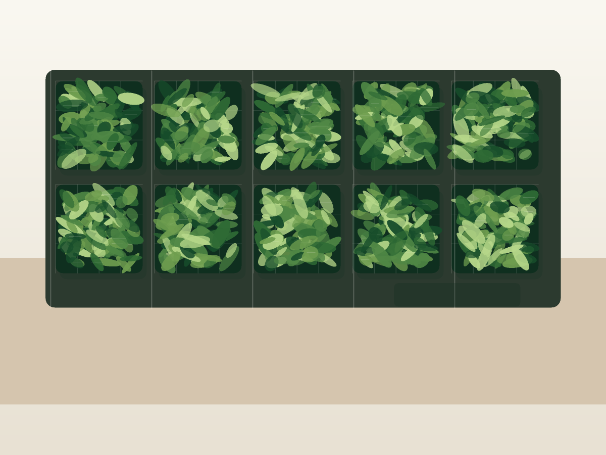 Outdoor hedge screen project concept